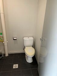 Vertex (D14), Factory #503499781